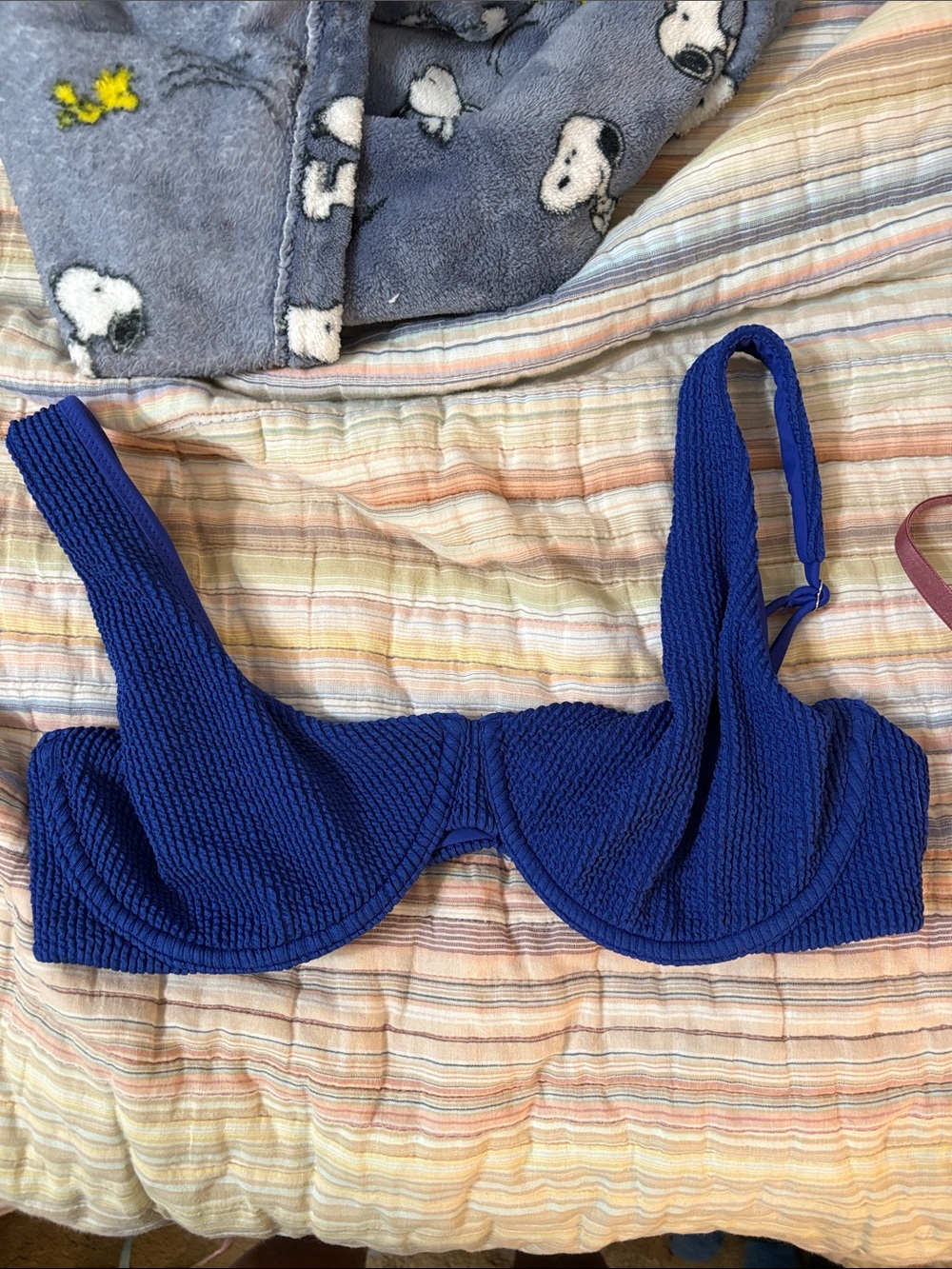 Abercrombie & Fitch Royal Blue Textured Bikini Top